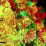 ヒメ日記 2026/03/24 19:06 投稿 きよら【新人割】 素人系イメージSOAP彼女感大宮館