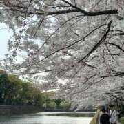 ヒメ日記 2026/04/06 23:26 投稿 きよら【新人割】 素人系イメージSOAP彼女感大宮館