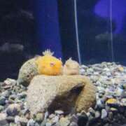 ヒメ日記 2026/04/30 13:26 投稿 きよら【新人割】 素人系イメージSOAP彼女感大宮館