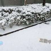 ヒメ日記 2026/02/08 10:59 投稿 えみり Second Love（セカンドラブ）