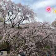 ヒメ日記 2026/03/29 11:05 投稿 えみり Second Love（セカンドラブ）