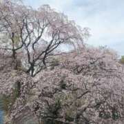 ヒメ日記 2026/04/07 19:39 投稿 えみり Second Love（セカンドラブ）