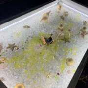 ヒメ日記 2026/04/09 11:13 投稿 えみり Second Love（セカンドラブ）