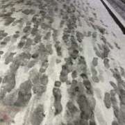 ヒメ日記 2026/02/09 21:42 投稿 日向ゆり 池袋ストリーム