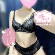 ヒメ日記 2026/04/03 11:02 投稿 ふたば ピンキーエコ