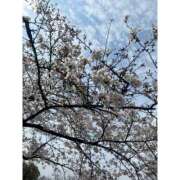 ヒメ日記 2026/04/03 20:01 投稿 とき★動画顔出OK Linda＆Linda(リンダリンダ)