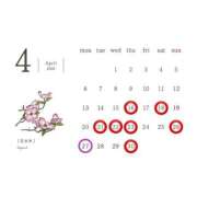 ヒメ日記 2026/04/15 19:08 投稿 とき★動画顔出OK Linda＆Linda(リンダリンダ)