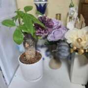 ヒメ日記 2026/03/04 08:27 投稿 すずみ 完熟ばなな 立川