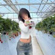 ヒメ日記 2026/02/17 12:00 投稿 にこる JAPAN CLUB BUNNY LOUNGE