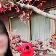 ヒメ日記 2026/01/31 08:54 投稿 せいこ ミラー