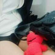 ヒメ日記 2026/02/15 07:23 投稿 せいこ ミラー