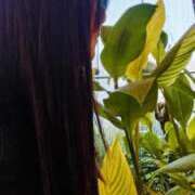 ヒメ日記 2026/03/05 20:38 投稿 せいこ ミラー