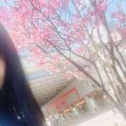 ヒメ日記 2026/03/29 06:08 投稿 せいこ ミラー