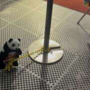 ヒメ日記 2026/03/05 12:08 投稿 れい パンドラ(上野)