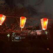 ヒメ日記 2026/03/19 11:30 投稿 れい パンドラ(上野)