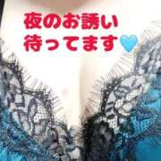 ヒメ日記 2026/03/14 14:34 投稿 ゆき 埼玉本庄ちゃんこ