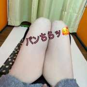 ヒメ日記 2026/04/01 21:54 投稿 ゆき 埼玉本庄ちゃんこ