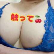 ヒメ日記 2026/04/02 10:44 投稿 ゆき 埼玉本庄ちゃんこ