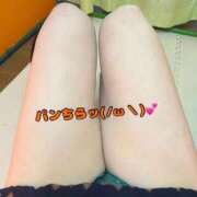 ゆき ㊙️お嬢の入口(/ω＼*) 埼玉本庄ちゃんこ