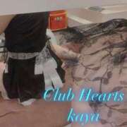 ヒメ日記 2026/02/01 22:19 投稿 カヤ Club Hearts