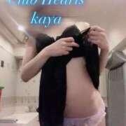 ヒメ日記 2026/03/10 23:00 投稿 カヤ Club Hearts