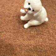 ヒメ日記 2026/04/04 16:01 投稿 カヤ Club Hearts