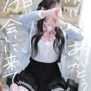 ヒメ日記 2026/02/08 11:33 投稿 宮地あや elumo(エルモ)