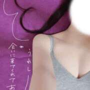 ヒメ日記 2026/02/16 19:58 投稿 宮地あや elumo(エルモ)