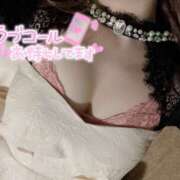 ヒメ日記 2026/03/07 19:45 投稿 まな 水戸女学院PTA