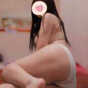 ヒメ日記 2026/03/09 08:22 投稿 みる ロイヤル土佐