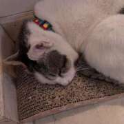 ヒメ日記 2026/03/25 17:22 投稿 みる ロイヤル土佐