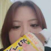 ヒメ日記 2026/02/11 11:44 投稿 こずえ 沖縄ちゃんこ那覇店