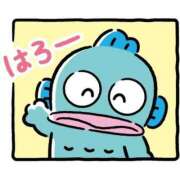 ヒメ日記 2026/03/12 14:19 投稿 ことは THE ESUTE HOUSE 柴田