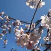 ヒメ日記 2026/03/28 14:16 投稿 ことは THE ESUTE HOUSE 柴田