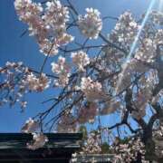 ヒメ日記 2026/04/01 19:26 投稿 ことは THE ESUTE HOUSE 柴田