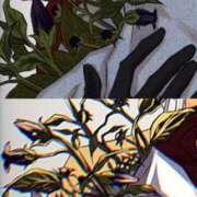 ヒメ日記 2026/02/08 17:12 投稿 れい【MTX】【体験入店】 ソープランド AQUA（アクア）