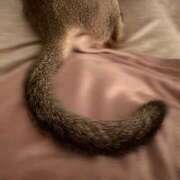 ヒメ日記 2026/03/17 11:06 投稿 Sena Mizuhara ELEGANT－エレガント－