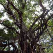 ヒメ日記 2026/04/22 20:32 投稿 Sena Mizuhara ELEGANT－エレガント－