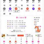ヒメ日記 2026/06/22 16:03 投稿 Sena Mizuhara ELEGANT－エレガント－