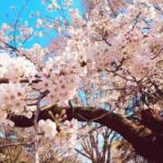 ヒメ日記 2026/01/31 21:14 投稿 べに 神田ハンドメイド