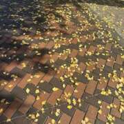 ヒメ日記 2026/01/31 23:53 投稿 べに 神田ハンドメイド