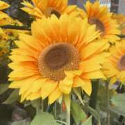 ヒメ日記 2026/02/03 20:08 投稿 べに 神田ハンドメイド