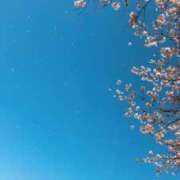 ヒメ日記 2026/02/03 23:08 投稿 べに 神田ハンドメイド