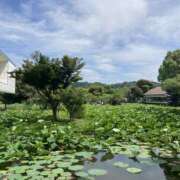 ヒメ日記 2026/02/24 20:52 投稿 べに 神田ハンドメイド