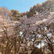 ヒメ日記 2026/02/25 00:00 投稿 べに 神田ハンドメイド