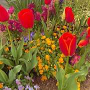 ヒメ日記 2026/02/26 17:56 投稿 べに 神田ハンドメイド