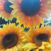 ヒメ日記 2026/03/04 19:29 投稿 べに 神田ハンドメイド