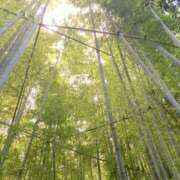 ヒメ日記 2026/03/26 21:55 投稿 べに 神田ハンドメイド