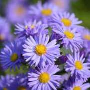 ヒメ日記 2026/02/26 16:14 投稿 まいか 出会い系人妻ネットワーク 五反田～品川編