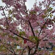 ヒメ日記 2026/04/05 14:05 投稿 新開 あいら 妻の友人